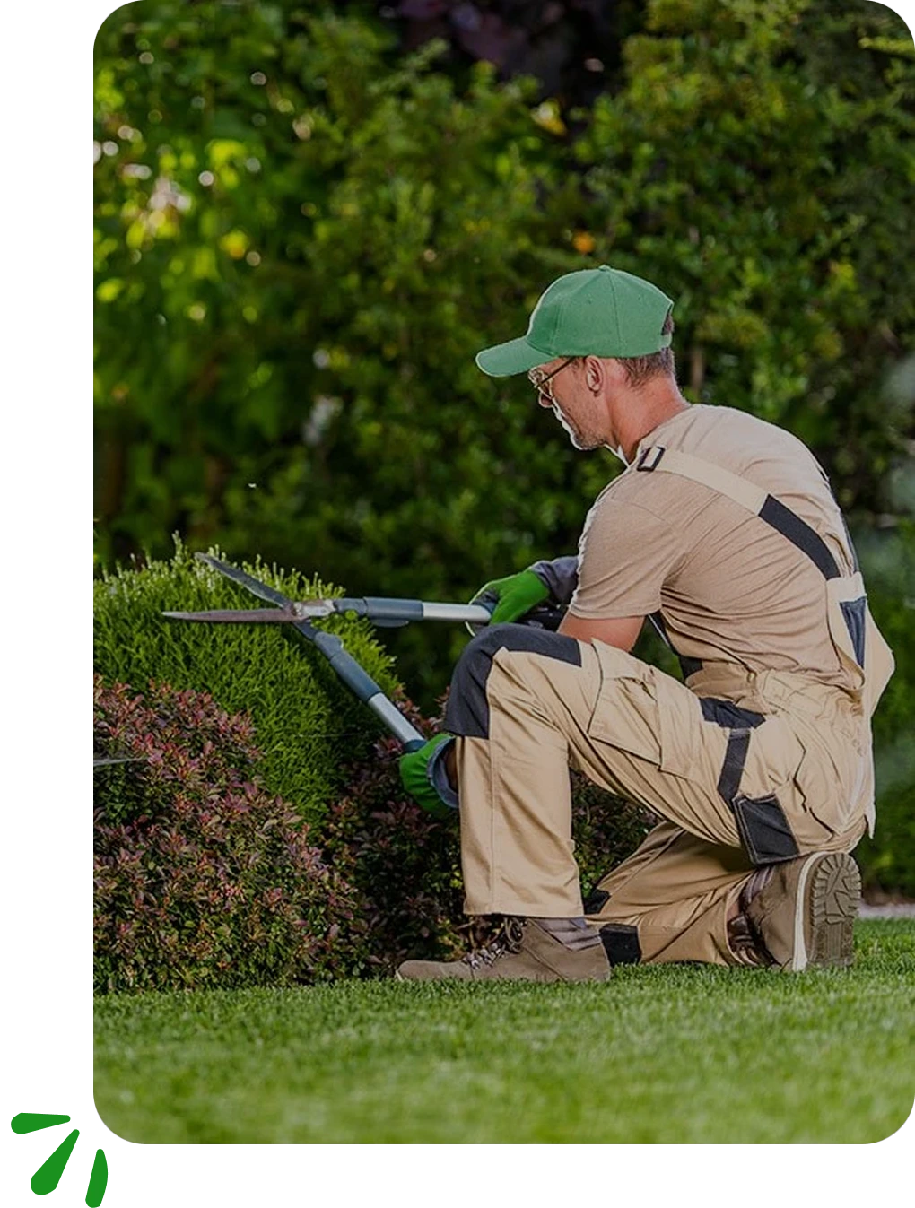 gardener maison domus