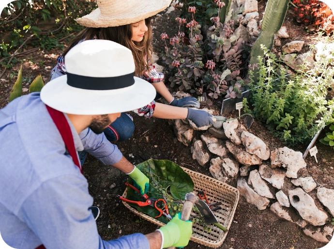garden Renovation perth