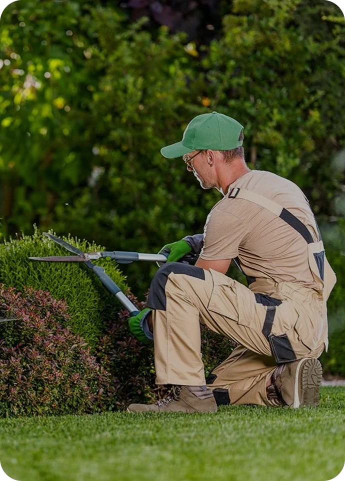 gardener maison domus